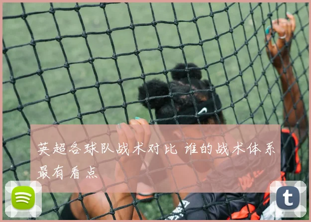 英超各球队战术对比 谁的战术体系最有看点