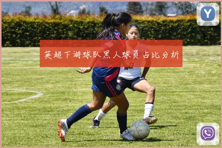 英超下游球队黑人球员占比分析