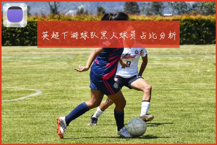 英超下游球队黑人球员占比分析